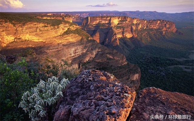 最大的高原是哪个高原(知识科普世界最大的高原)