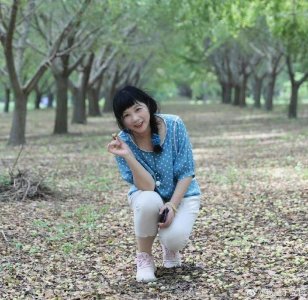 ​江苏作家丁立梅起诉知网案将开庭