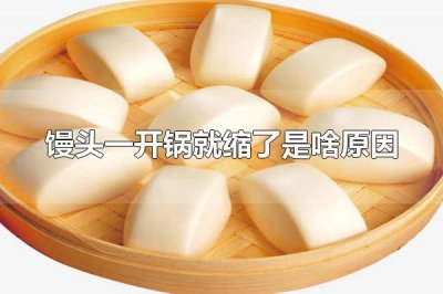 ​馒头一开锅就缩了是啥原因 馒头一开锅就缩了是面团没发好