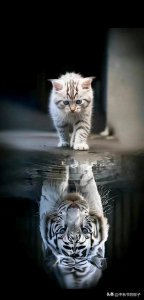 ​打扑克牌谨记20句口诀