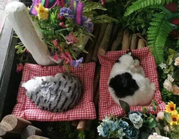 济南的新华书店有哪些(济南书游记时间太短)(36)