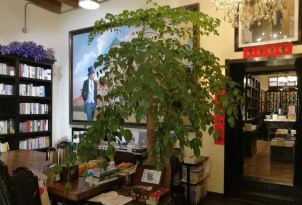 济南的新华书店有哪些(济南书游记时间太短)(5)