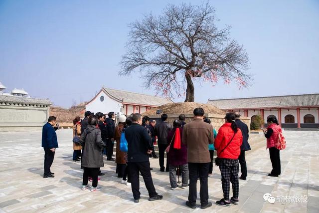 沁阳神仙谷旅游攻略(阳春三月踏春寻芳)(18)