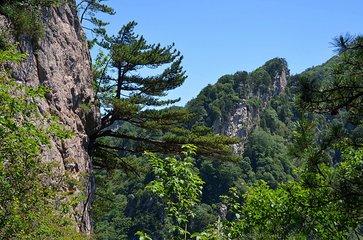 河南南阳有啥旅游景点(带你畅游河南南阳十大旅游景区)(1)