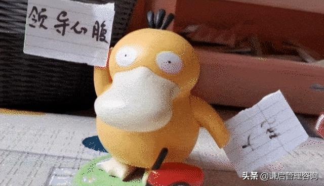 肯德基可达鸭套餐在哪些城市有(年轻化中餐化肯德基可达鸭爆火)(1)