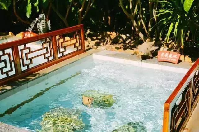 深圳温泉推荐(周边温泉大盘点)(25)