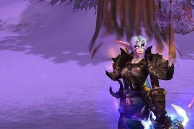 ​tbc血精灵猎人10级宝宝哪个好