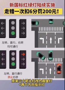 ​新版国标红绿灯规则
