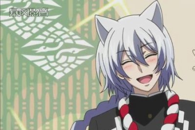 ​银狐动漫大结局