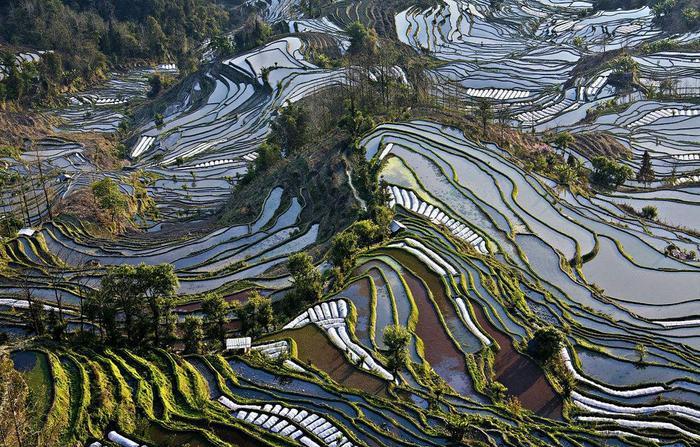 你知道云南有哪些好玩的地方吗?