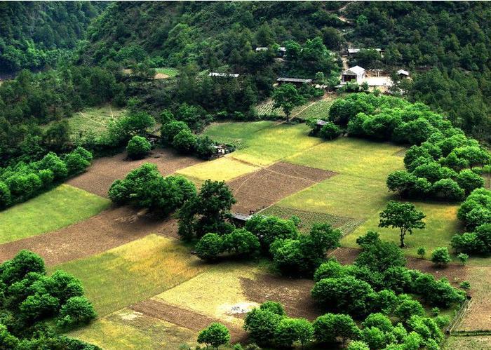 你知道云南有哪些好玩的地方吗?