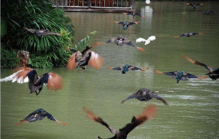 你知道云南有哪些好玩的地方吗?