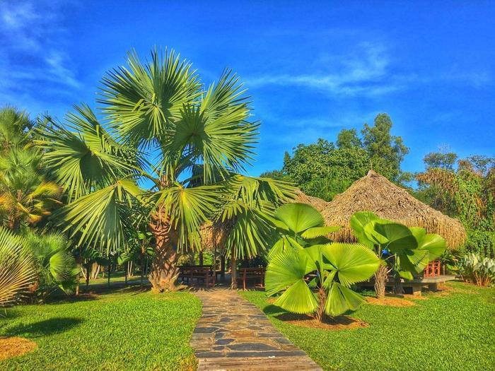 你知道云南有哪些好玩的地方吗?