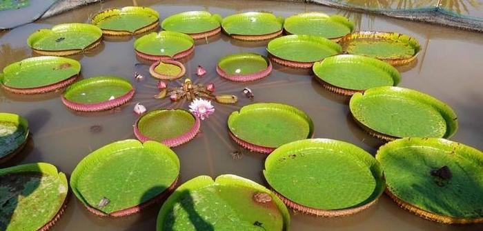 你知道云南有哪些好玩的地方吗?