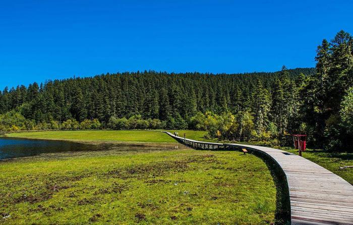 你知道云南有哪些好玩的地方吗?