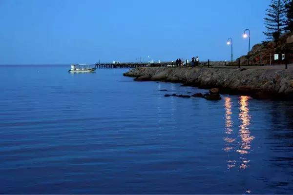 阿德莱德主要旅游景点(旅行者阿德莱德)(12)