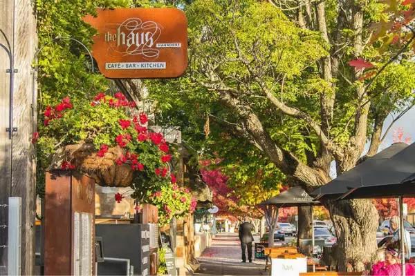 阿德莱德主要旅游景点(旅行者阿德莱德)(9)