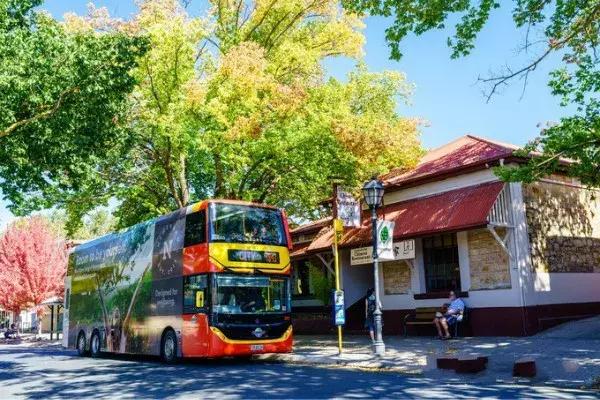 阿德莱德主要旅游景点(旅行者阿德莱德)(8)