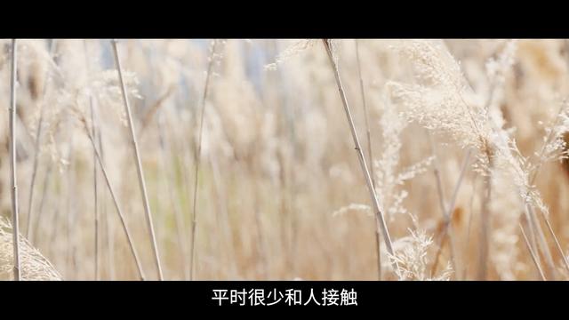 (一道闪电击中江苏射阳)(4)