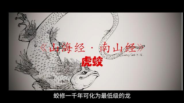 (一道闪电击中江苏射阳)(9)