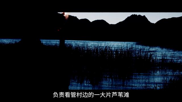 (一道闪电击中江苏射阳)(5)