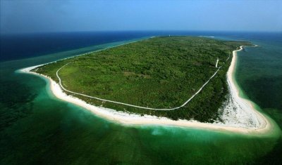 ​西沙东岛发现大批“野牛”群，该岛远离大陆，“野牛”从何而来？