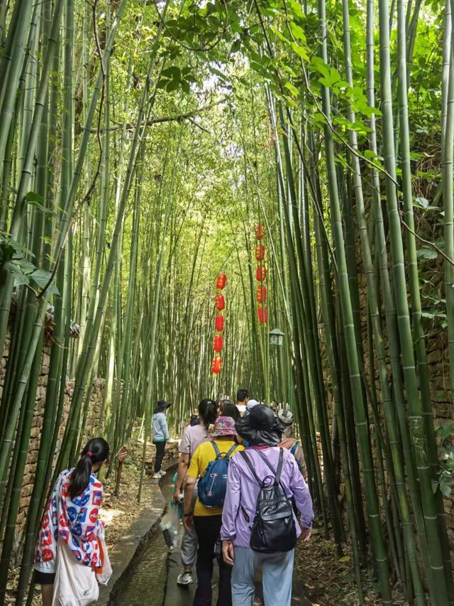 临沂市竹泉村旅游景点（百名游客重游新临沂）(7)