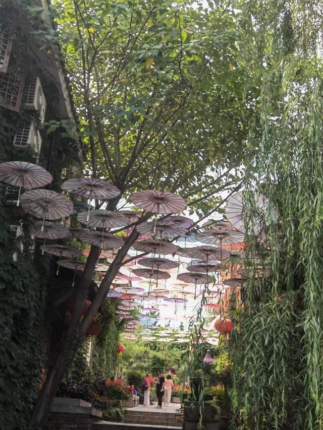 临沂市竹泉村旅游景点（百名游客重游新临沂）(12)