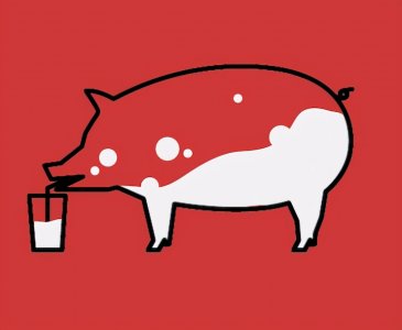 ​猪奶为什么没人喝（为什么市面上从来没有人卖猪奶）