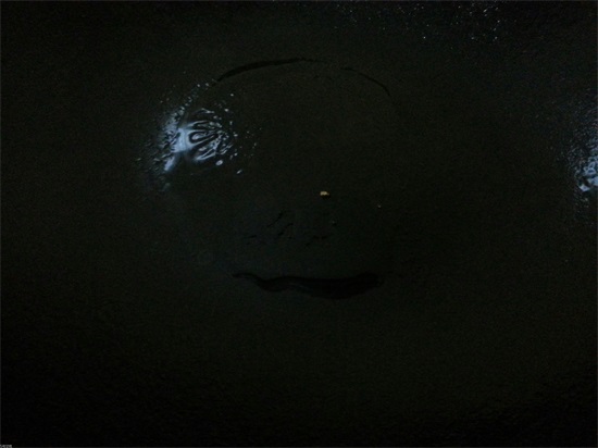 驴肉火烧可以隔夜吃吗?驴肉火烧味道好 驴肉火烧可以隔夜吃吗?驴肉火烧味道好