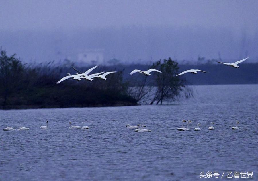 淮滨县属于哪个市(河南淮滨县属于哪个市)