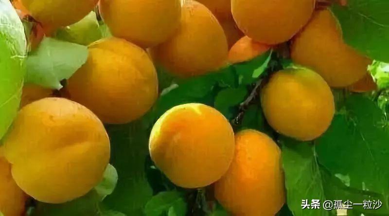 天镇县属于哪个市(山西省天镇县属于哪个市)