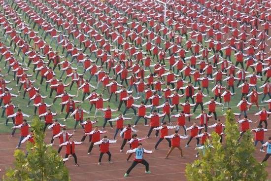 温县属于河南省哪个市(温县属于哪个市)