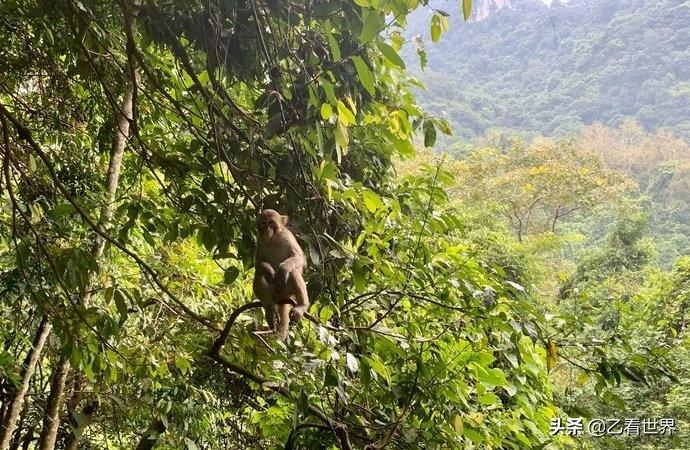 隆安县属于哪个市(广西隆安县属于哪个市)