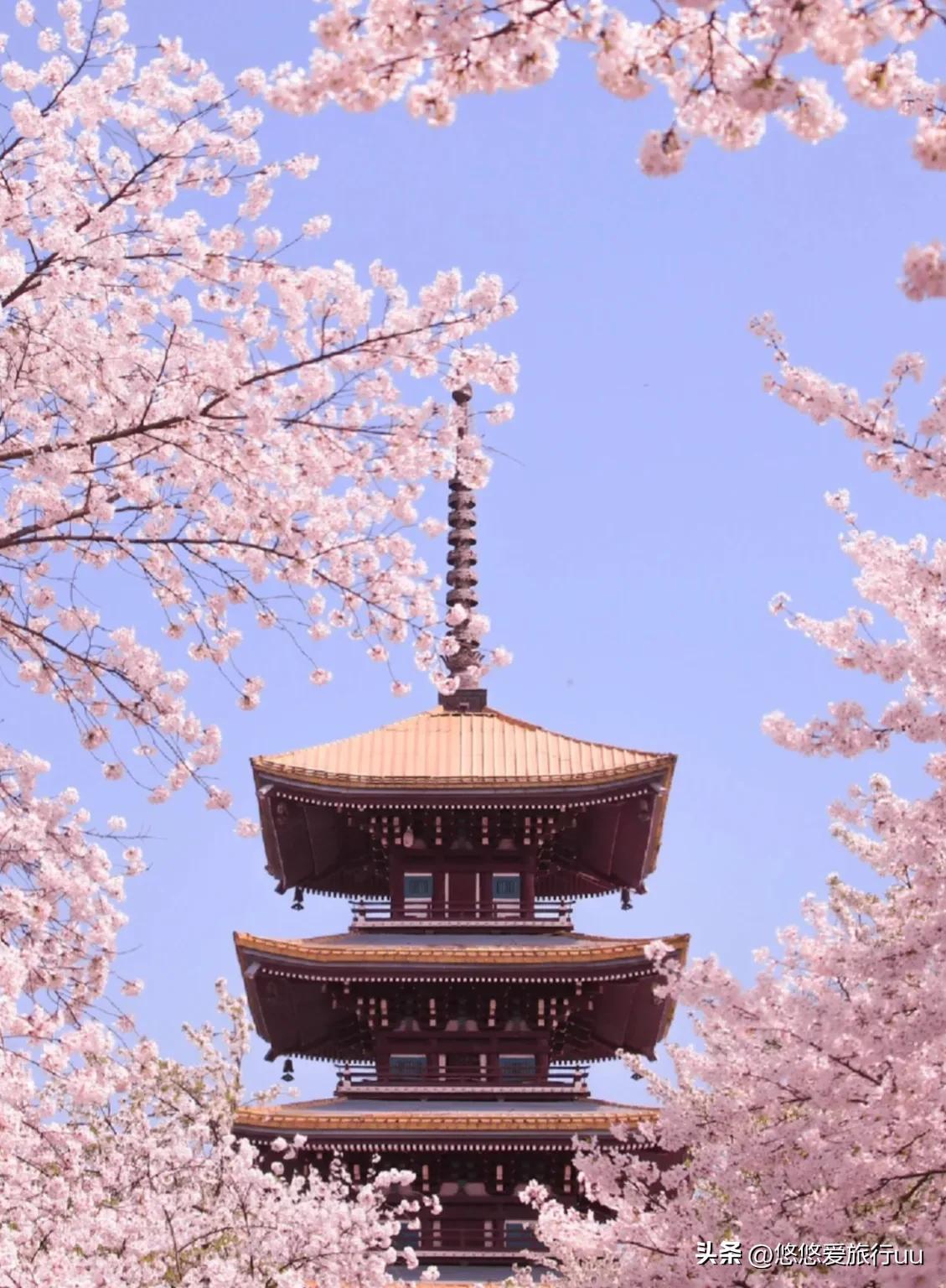 武汉著名景点有哪些(武汉有哪些著名景点)