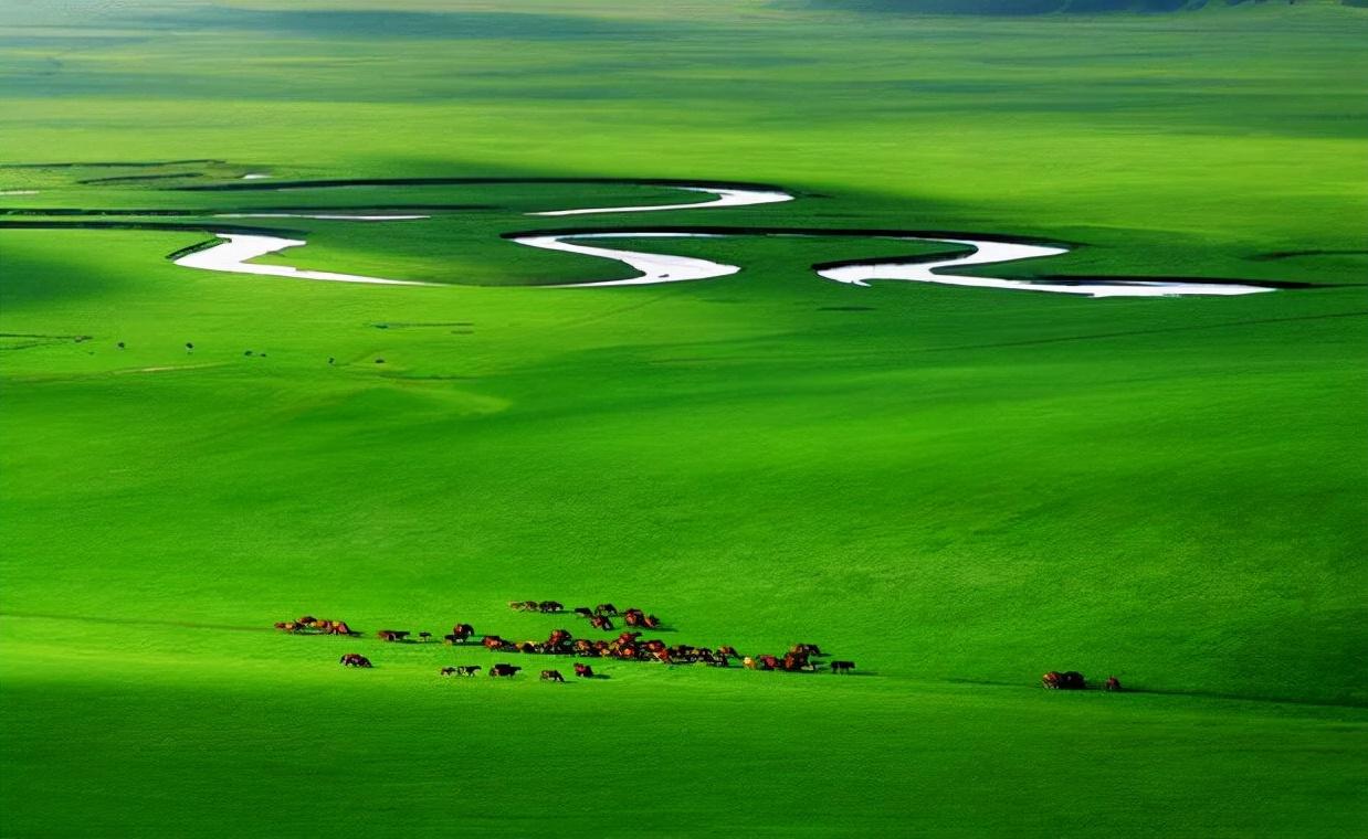 呼伦贝尔市有多少人口(呼伦贝尔市各旗县人口排名)