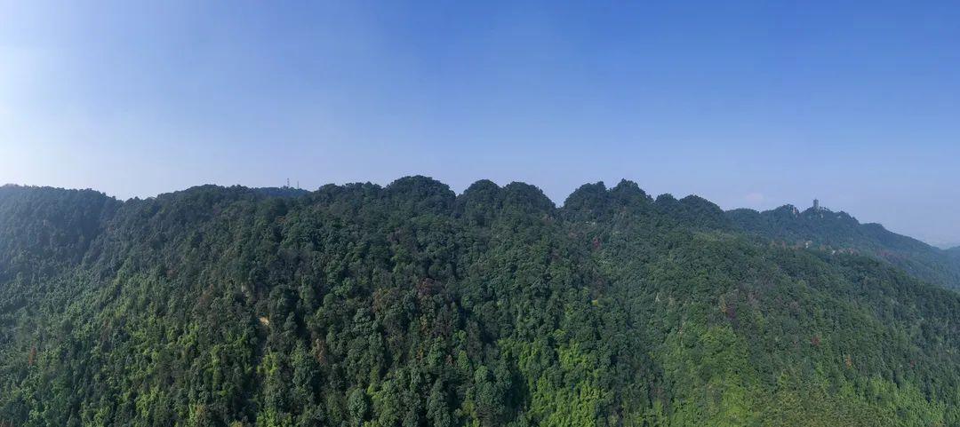 1、北碚缙云山国家森林公园