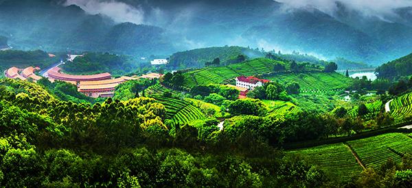 三、南雁生态农业园