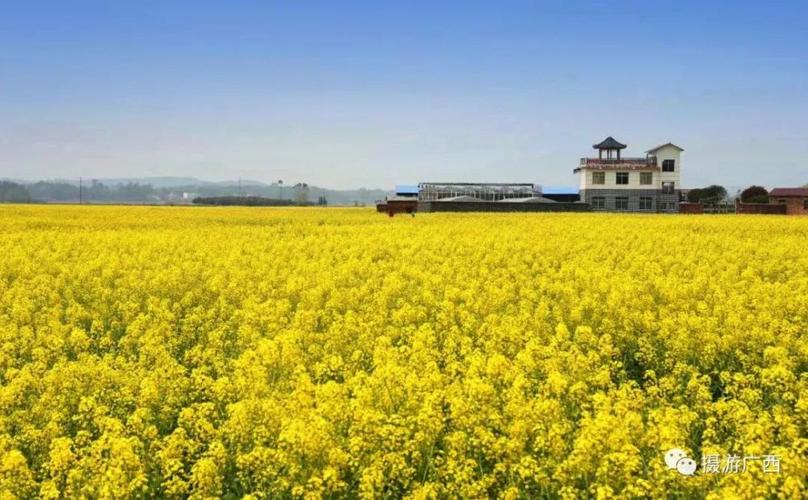 二、上塘·竹海露营地