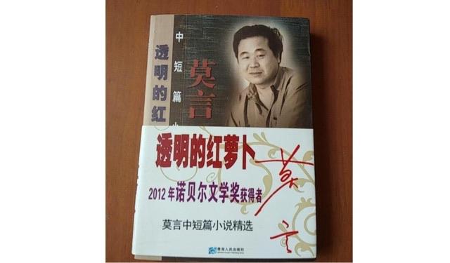 十大国内最经典的十大中篇小说介绍(最好看的国产中篇小说盘点) 5