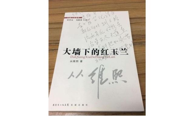 十大国内最经典的十大中篇小说介绍(最好看的国产中篇小说盘点) 2