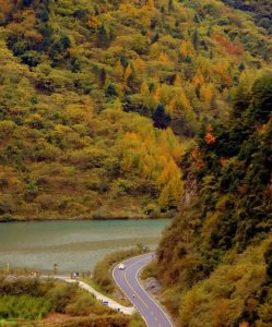 ​成都1天耍来回！不收门票的小众赏秋地，秋色正美本周最佳