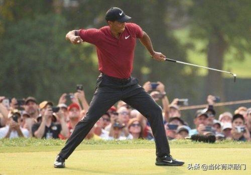 世界体育史上十大巨星(全球影响力最高的10大体育明星)插图4