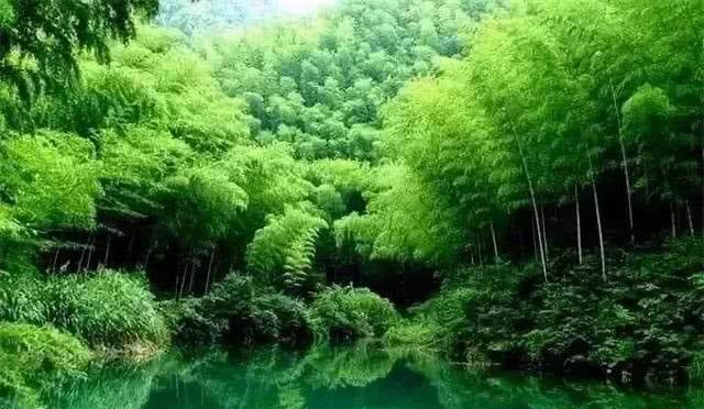 四川改名“最成功”的景区,曾被人想象成养鸡场