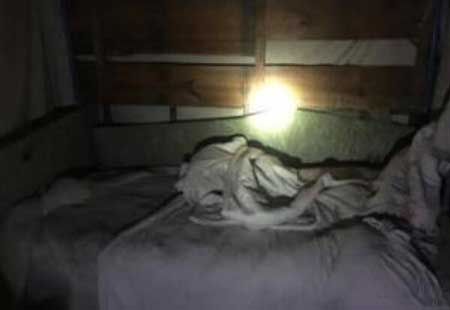 贵阳鬼楼事件真相图片,诡异事件的恐怖真相