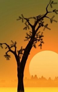 ​教程：和大家分享一下怎么制作带自己名字的个性背景图片