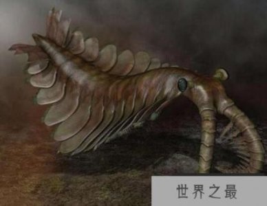 ​远古海洋三大霸主，奇虾强过沧龙，威力不输旋齿鲨