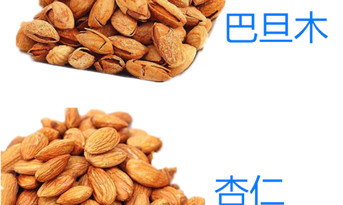 巴旦木和杏仁的区别,巴旦木和杏仁的区别功效图5