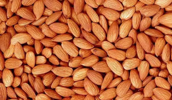 巴旦木和杏仁的区别,巴旦木和杏仁的区别功效图1