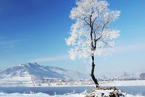大寒穿什么衣服?教你保暖的搭配 大寒穿什么衣服?教你保暖的搭配